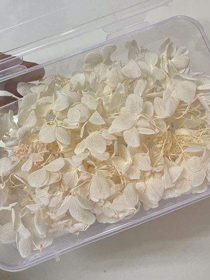 These off-white dried hydrangea petals are perfect for a classic, elegant bridal hairstyle.