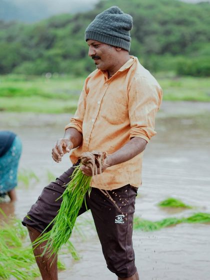 Monsoon Escapes photo 10