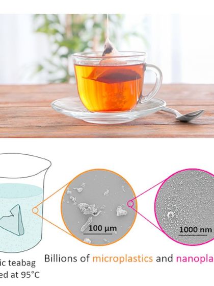 Your Teabag May Be Releasing Billions of Microplastics. Steeping a single plastic teabag at 95°C can release billions of microplastic and nanoplastic particles into your cup. Switch to loose-leaf tea or plastic-free bags to protect your health and the environment.