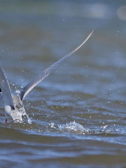 Discovery Village Resorts - Corporate & Group Outings Relaxed Pursuits & Nature Connection photo 22