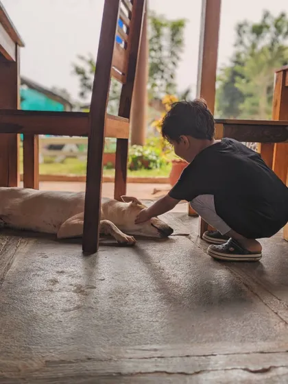 We believe in fostering gentle and respectful bonds between children and animals. This photo from our 'Kids and Canines Classroom' shows a young boy learning how to safely and calmly interact with one of our resident rescue dogs.