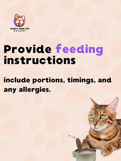 Fluffy Paws Pet Resort - Pet Boarding & Daycare Cat Parent Resources photo 4
