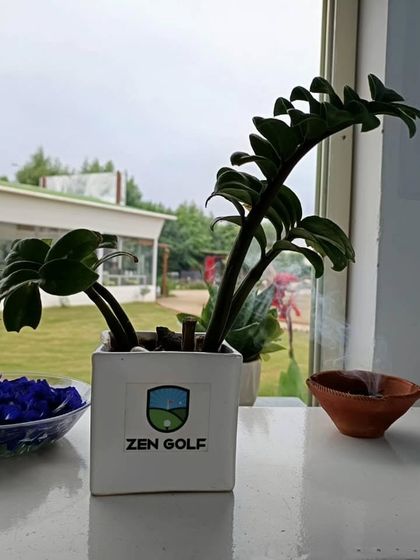 More from the Greens photo 5