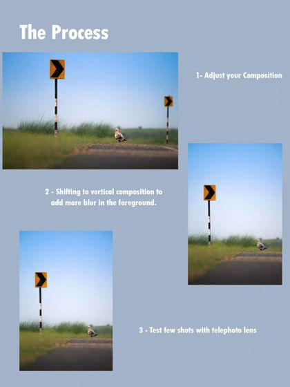 The Art of the Shot: Composition & Creativity photo 13