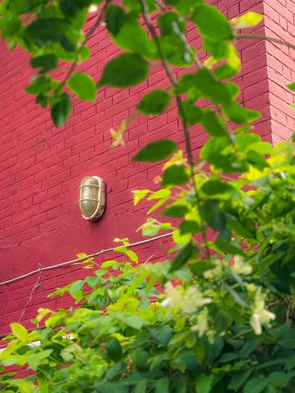 Garima Bhaskar - Filmmaking Services Delhi, My Muse photo 8