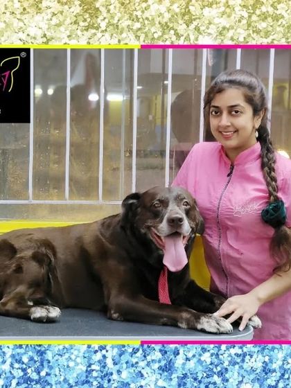 Fuzzy Wuzzy - Pet Grooming & Spa Spaniels, Retrievers & Large Breed Grooming photo 39