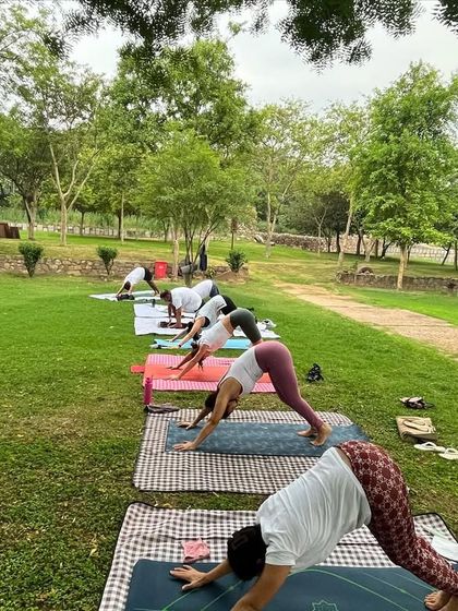 Students moving through Adho Mukha Svanasana during our outdoor Yoga Day event.