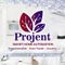 Projent Solution