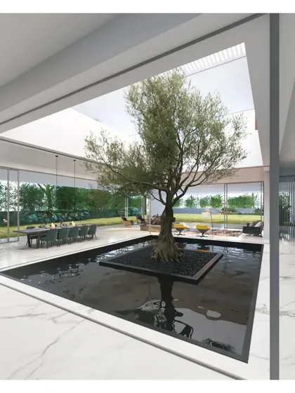In our Koba House project, we designed big white spaces to frame expansive views and make light the showstopper. Here, an olive tree becomes the living heart of the home, rooted in a pool of black water under an open sky.