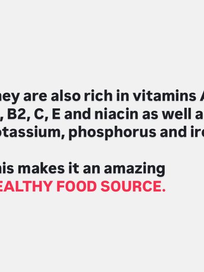 Sustainable Dieting & Recipes photo 29