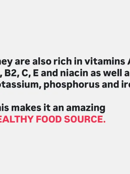 They are also rich in vitamins A, B, C, E, and niacin, as well as potassium, phosphorus, and iron. This makes sprouted mung beans an incredibly healthy food source.