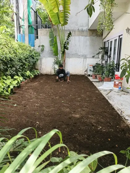 My team member starting the soil preparation work. We take the time to ensure the foundation for your new lawn is perfect.