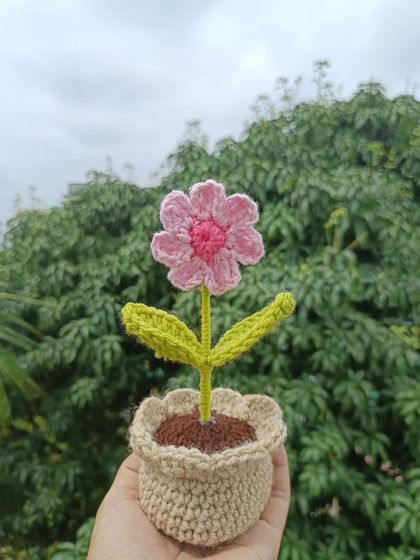 Cheerful Potted Plants photo 65