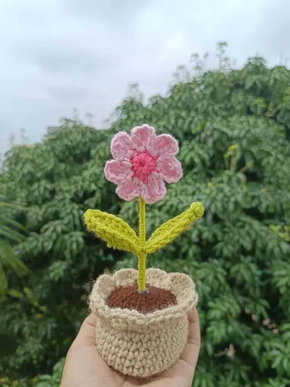 A single potted pink daisy, held in my hand to show its size and detail.
