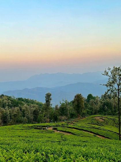 A breathtaking sunset over the Nilgiri mountains. We time our rides and stops to make sure you don't miss magical moments like this.