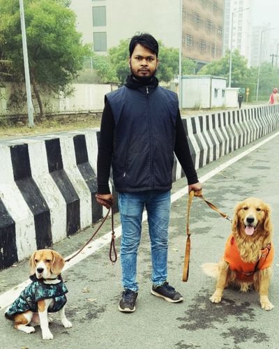 Dog Walking
