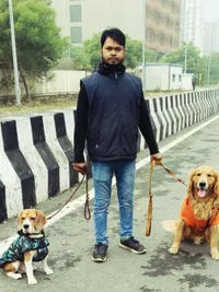 Dog Walking