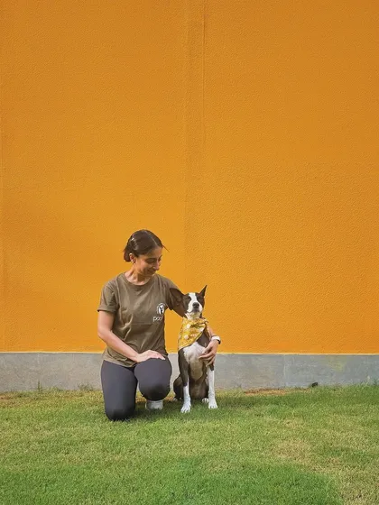 My girl Lily Love is the reason I started this journey. She inspired me to leave my legal career and follow my calling to help dogs and their humans build better relationships.