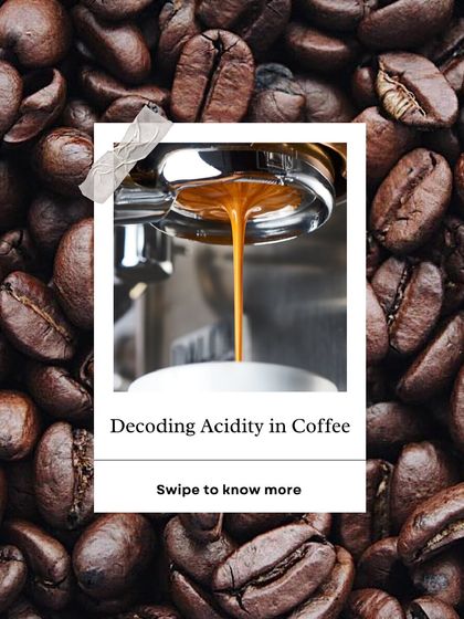 A visual introduction to decoding acidity in coffee, explaining that it's the bright, crisp notes that give coffee character.