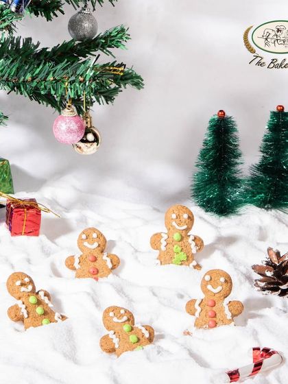 Christmas & Holiday Specials photo 24