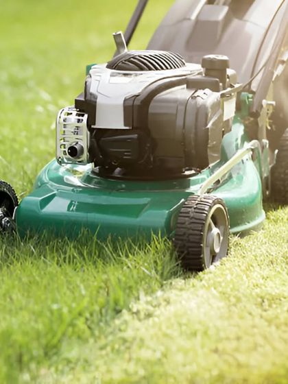 A close-up of our powerful lawnmower in action, delivering a clean and even cut. Regular mowing is essential for a dense and healthy lawn, and we use the best equipment for the job.