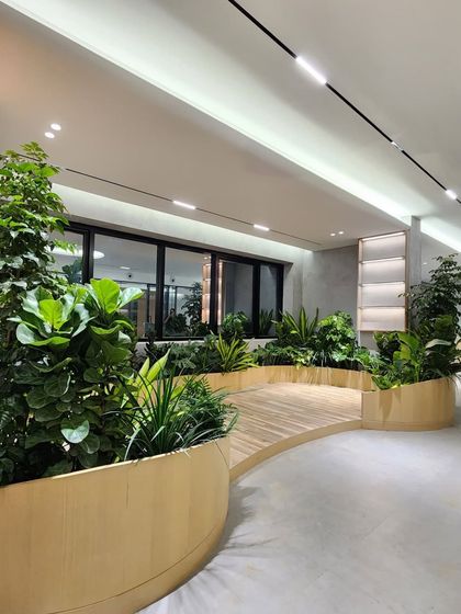 The combination of light wood, concrete, and abundant greenery creates a modern, calm, and productive atmosphere in this Hyderabad office we designed.