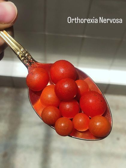 Gauravi Vinay - Personalized Clinical Nutrition Coaching My Food Philosophy: Ditching Dogma photo 16