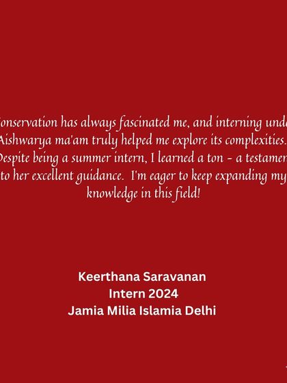 Our Internship: Real Projects, Real Impact photo 9