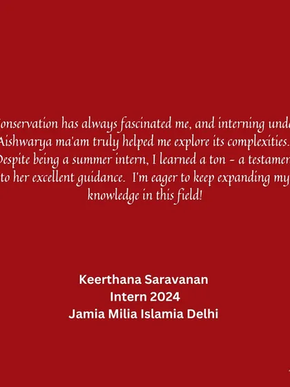 This testimonial from a 2024 intern from Jamia Millia Islamia highlights how our program helps students explore the complexities of conservation. Even a short summer internship can be a deeply enriching learning experience.