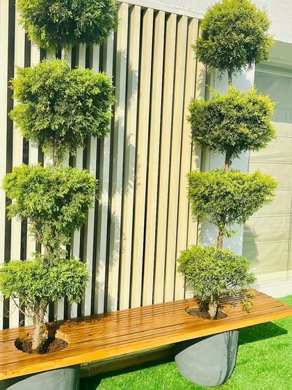 Balcony & Backyard Makeovers photo 4