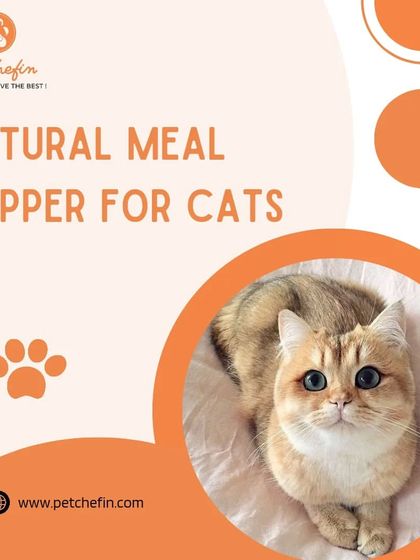 Our natural air-dried treats make the perfect meal topper for cats. They add a boost of vitamins, minerals, and protein that might be missing from highly processed kibble.