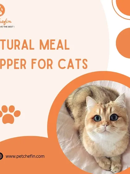Our natural air-dried treats make the perfect meal topper for cats. They add a boost of vitamins, minerals, and protein that might be missing from highly processed kibble.