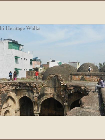 Delhi's Green Lungs: Parks, Gardens, and Sanctuaries photo 18