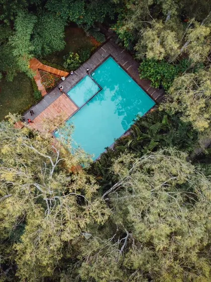 A top-down shot of a swimming pool hidden among the trees, looking like a secret oasis.