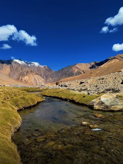 A serene river valley in Ladakh, where the green pasture meets the arid mountains under a brilliant blue sky.