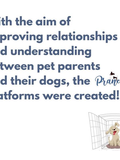 My entire platform was created with one aim: to improve the relationship and understanding between pet parents and their dogs.