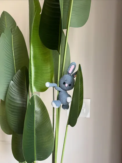 A little bunny explorer. This small amigurumi bunny is perfect as a curtain tie-back or just a little friend to peek out from behind the plants.