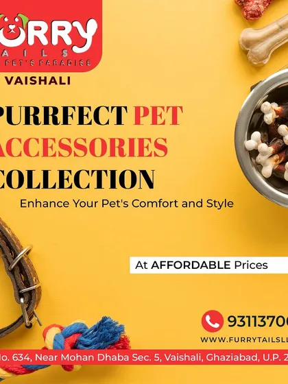Discover our collection of pet accessories designed for comfort, play, and style. We offer a curated selection of durable toys, comfortable collars, and tasty chew bones to keep your furry friend happy and engaged.