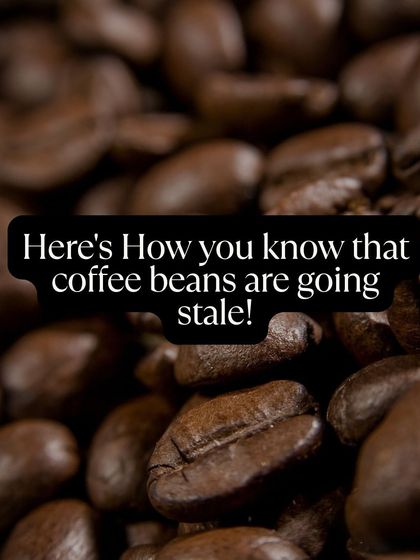 Knowing how to spot stale coffee is a basic but crucial skill. We teach you to look for a dull aroma, oily or dry appearance, and a lack of bloom.