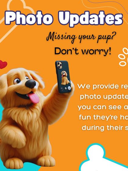Missing your pup? Don't worry. We provide regular photo updates so you can see all the fun they're having during their stay with us, giving you complete peace of mind.