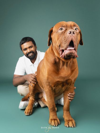 Rohit - Family & Pet Photography Classic Studio Portraits photo 9