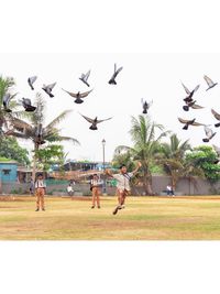 Landscape Architecture