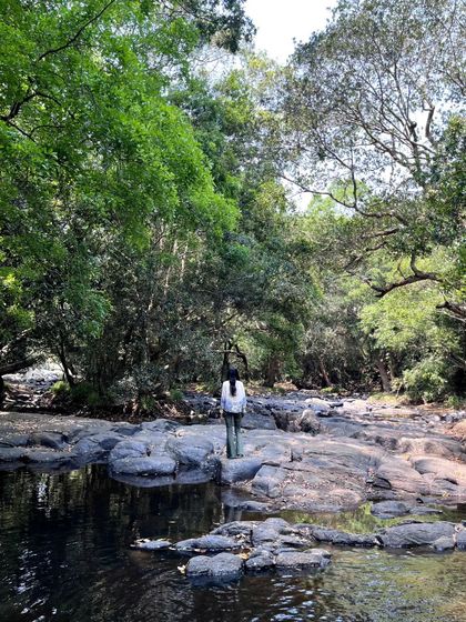 Standing on the rocks by the river, surrounded by the dense forest of Nisargadhama. This is a perfect spot for sketching or simply being present.