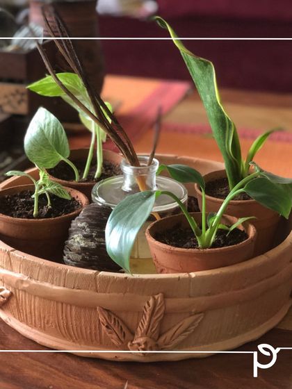 Sustainable Practices & Materials photo 13