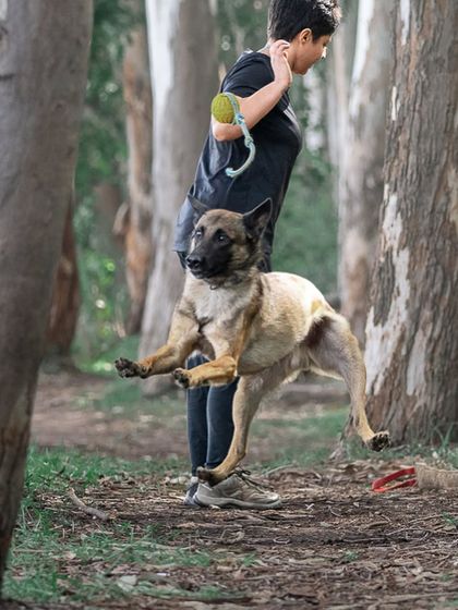 Pragalbh - Fine Art Pet Photography Outdoor Adventures photo 27