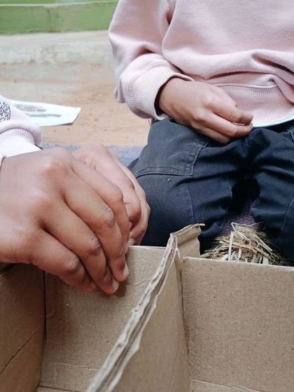 The Earth School - Montessori Primary & Elementary Program Hands-On Science & Nature Study photo 10