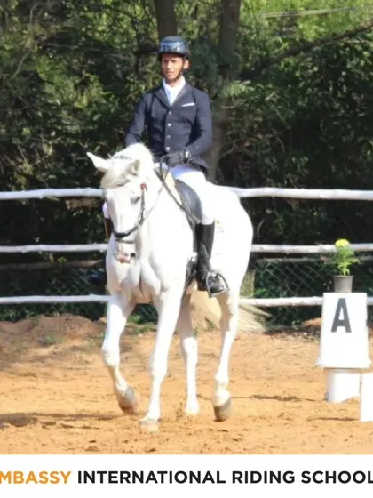 Dressage is the art of horsemanship, and I focus on developing that deep connection between horse and rider. This image captures the elegance and precision we instill in our dressage training programs.