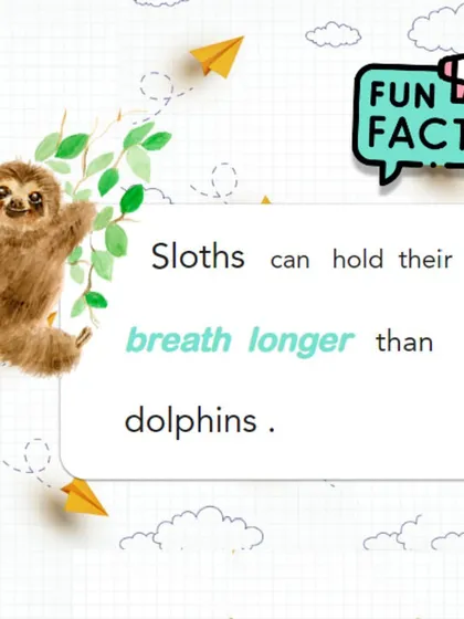 Fun Fact: Sloths can hold their breath longer than dolphins. By slowing their heart rates, sloths can stay underwater for up to 40 minutes, while dolphins need air after about 10 minutes.