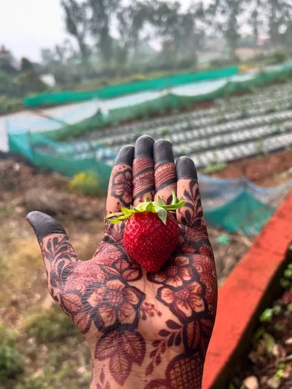 Even on my travels, I can't help but admire a good stain. My floral henna design holding a fresh strawberry in Mahabaleshwar.