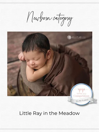 This image, "Little Ray in the Meadow," received a Silver Award in the Newborn category. This award reflects my dedication to creating serene and artistic portraits of newborns.